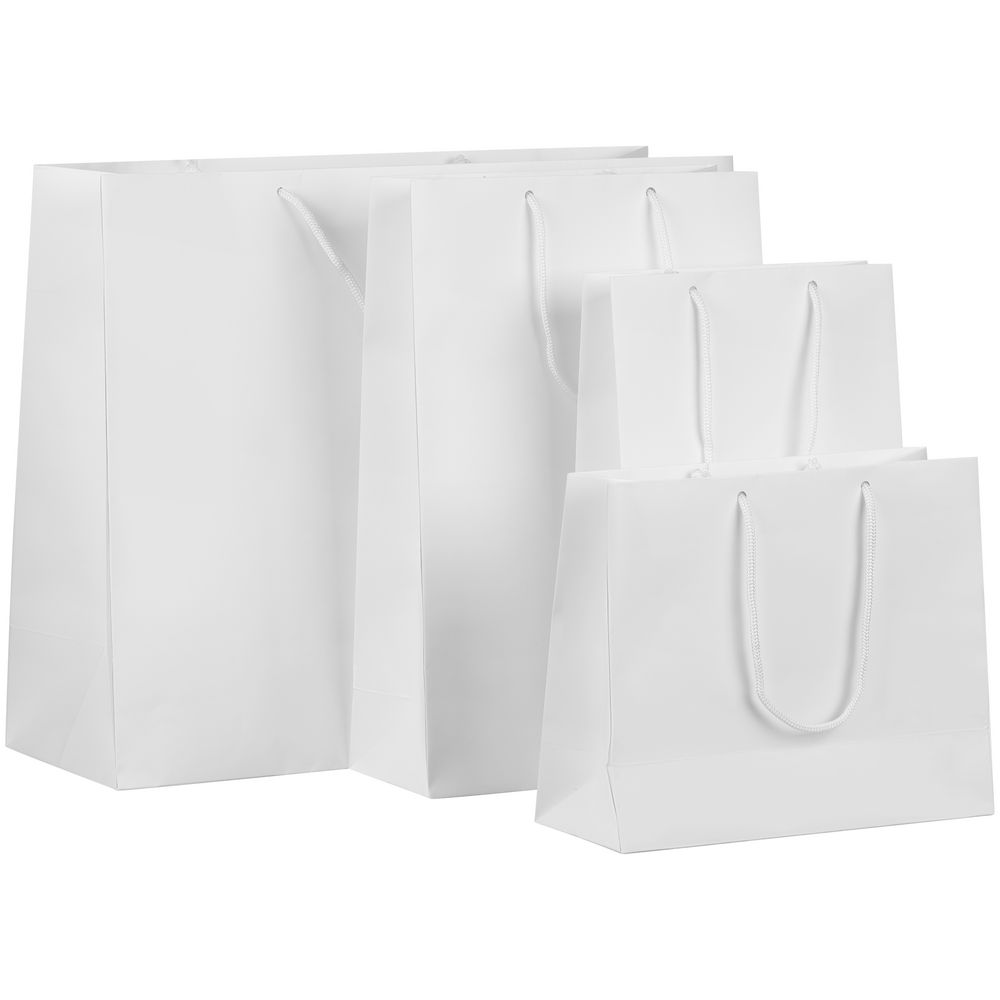 Пакет бумажный с ламинацией Lami Tote L