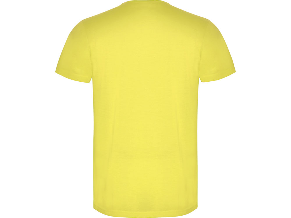 Футболка Akita мужская