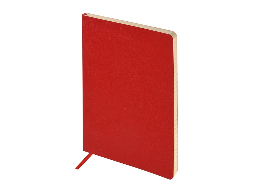 Блокнот А5 Megapolis Flex Nebraska