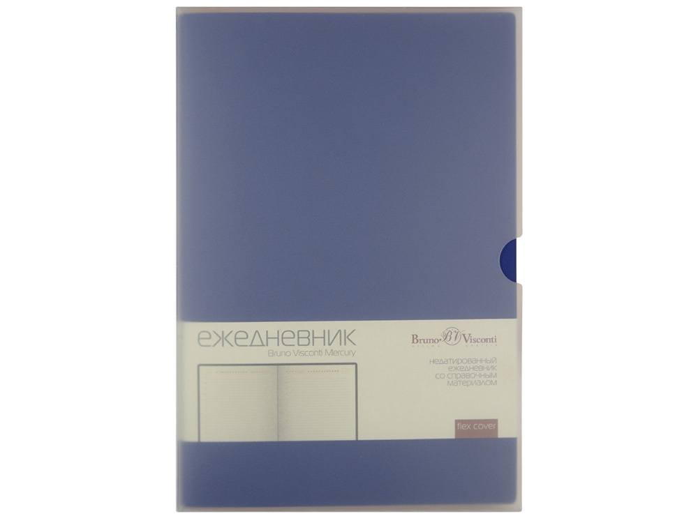 Ежедневник недатированный А5 Mercury