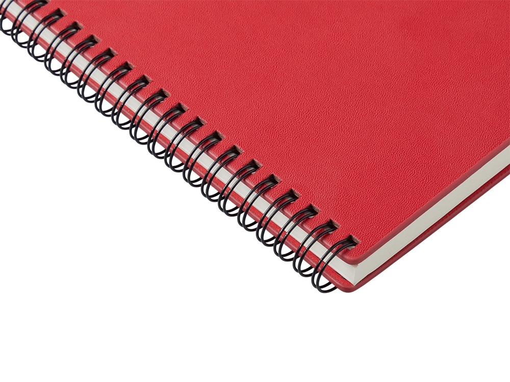 Блокнот А5 Дантэ