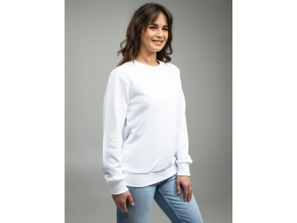 Свитшот для сублимации Evolution унисекс