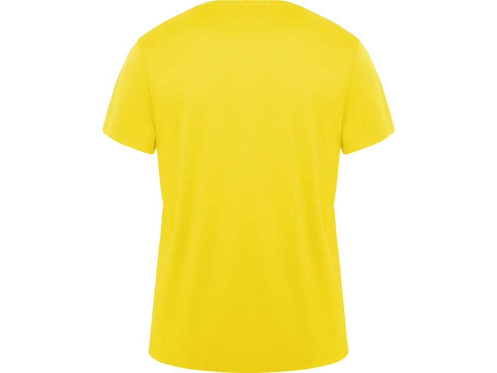 Спортивная футболка Daytona мужская