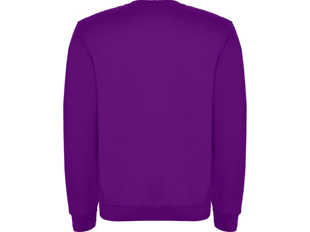 Свитшот с начесом Clasica унисекс