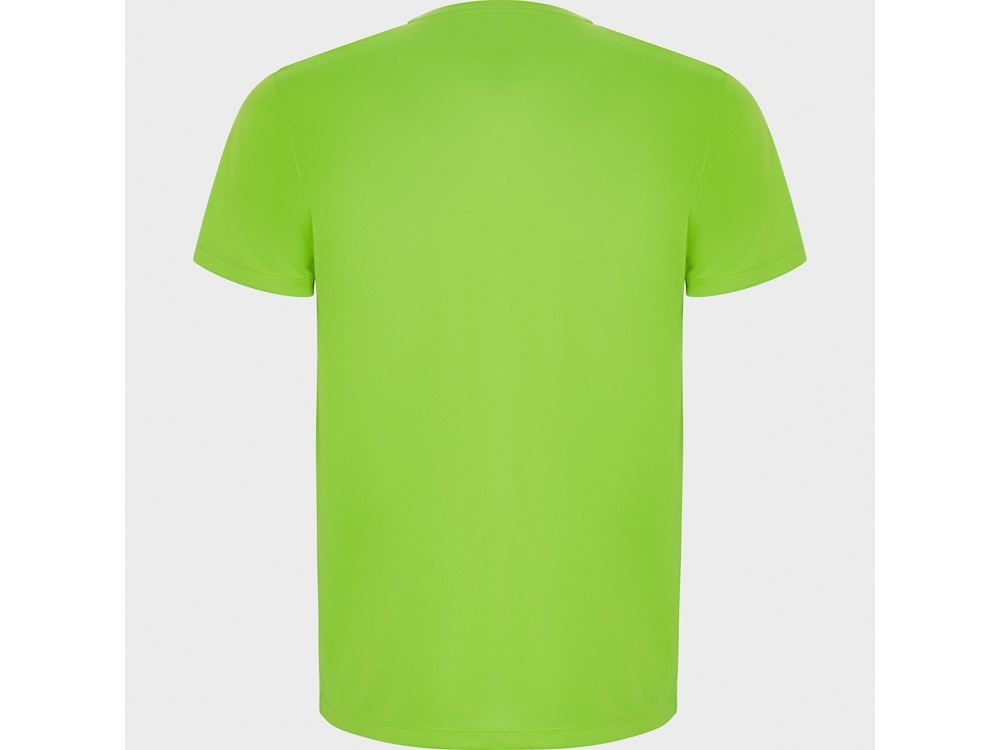 Спортивная футболка Imola мужская