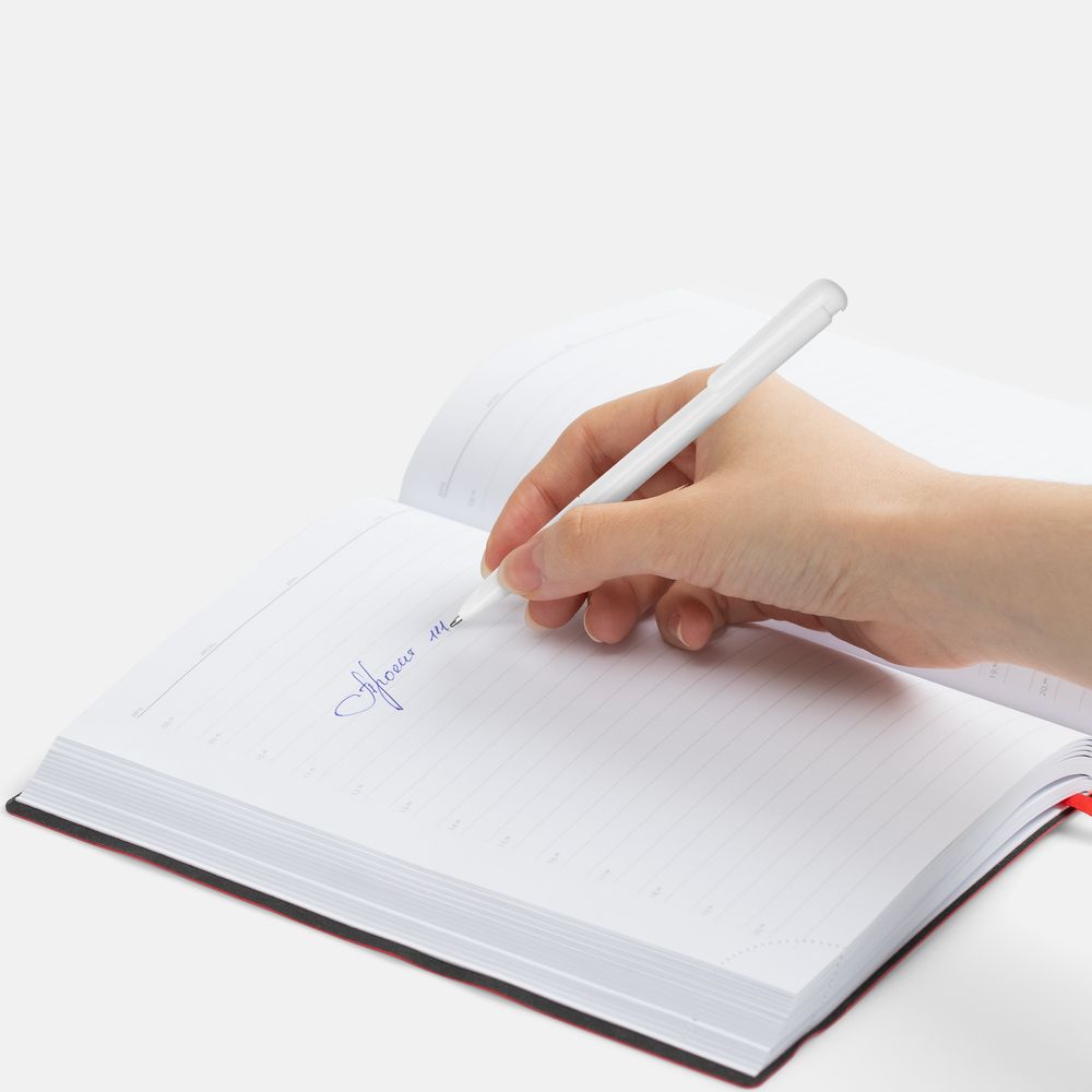 Ручка шариковая Penpal