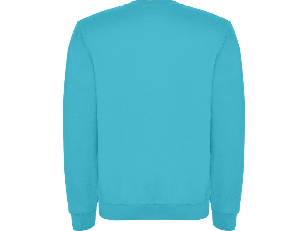 Свитшот с начесом Clasica унисекс