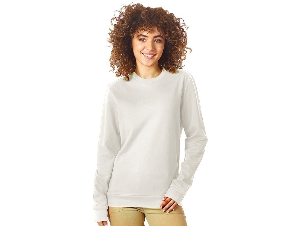 Свитшот Motion с начесом, унисекс