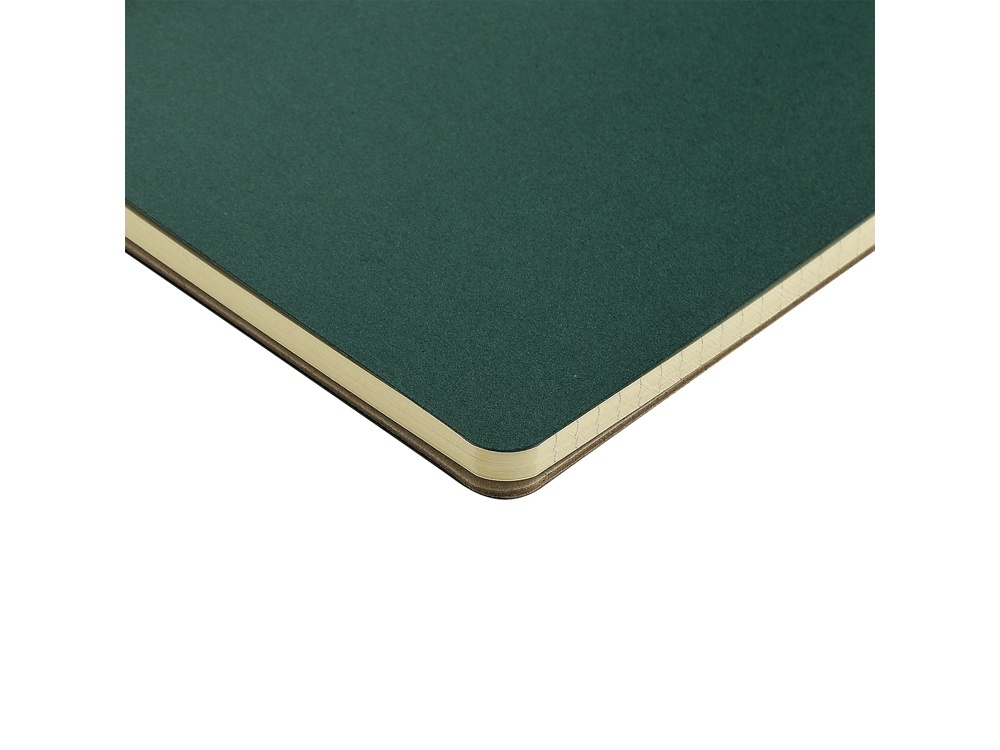 Бизнес тетрадь А5 Pragmatic