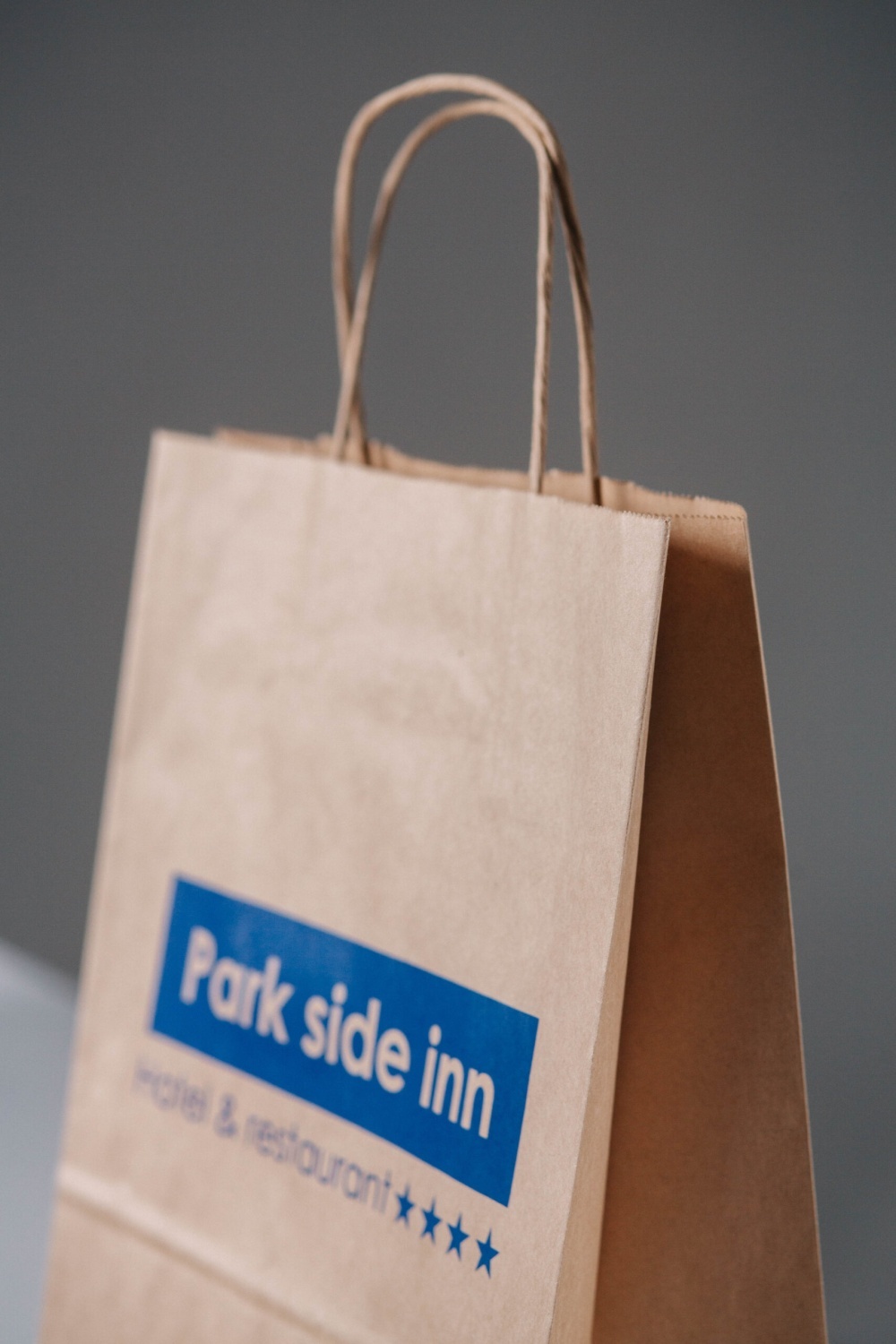 Крафт пакет, крученые ручки, 22*12*25 см (ш*г*в), цвет бурый 70 гр.