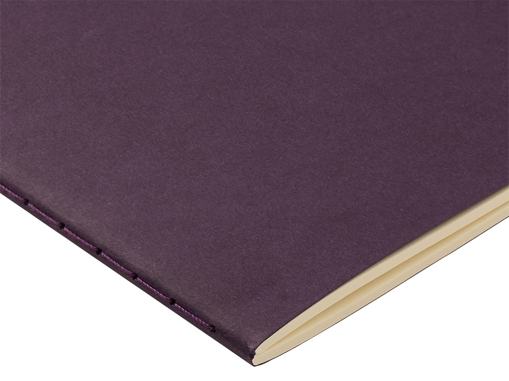 Бизнес тетрадь А5 Pragmatic