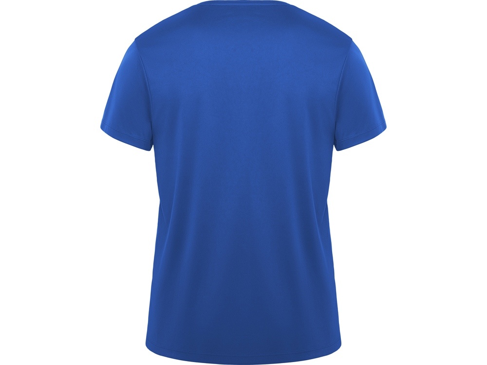 Спортивная футболка Daytona мужская