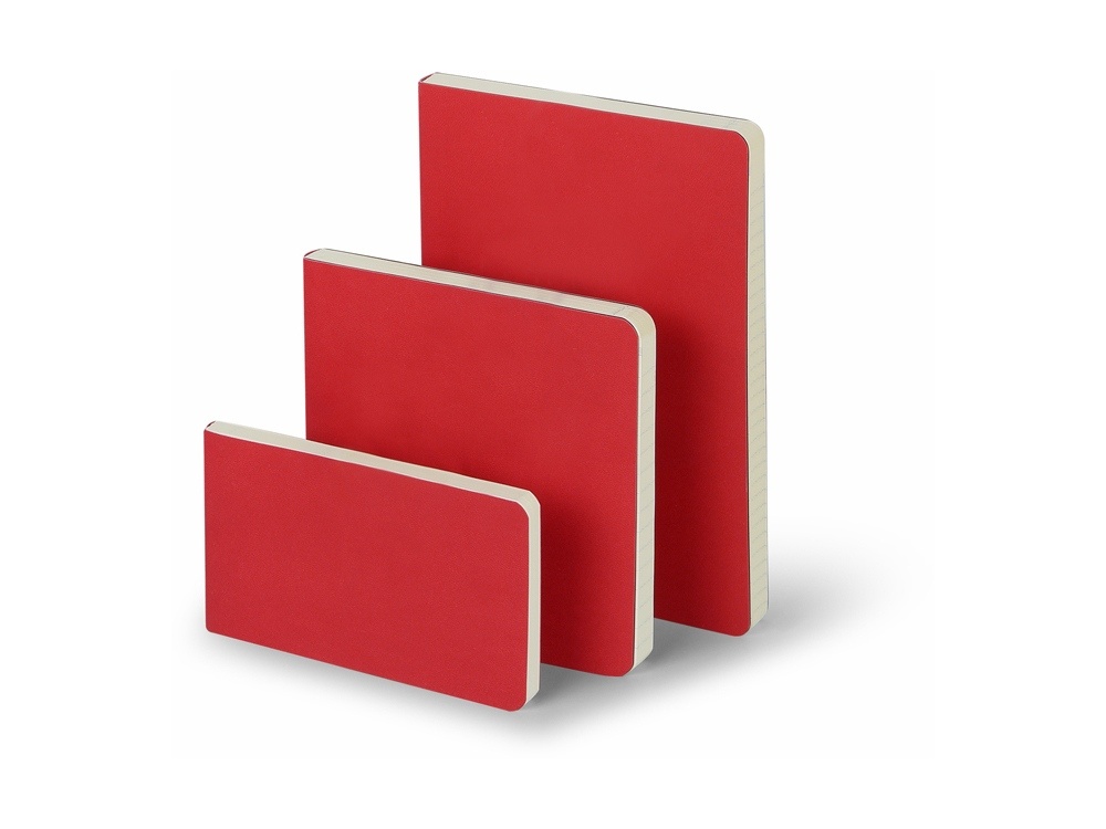 Ежедневник недатированный А5 Megapolis Flex