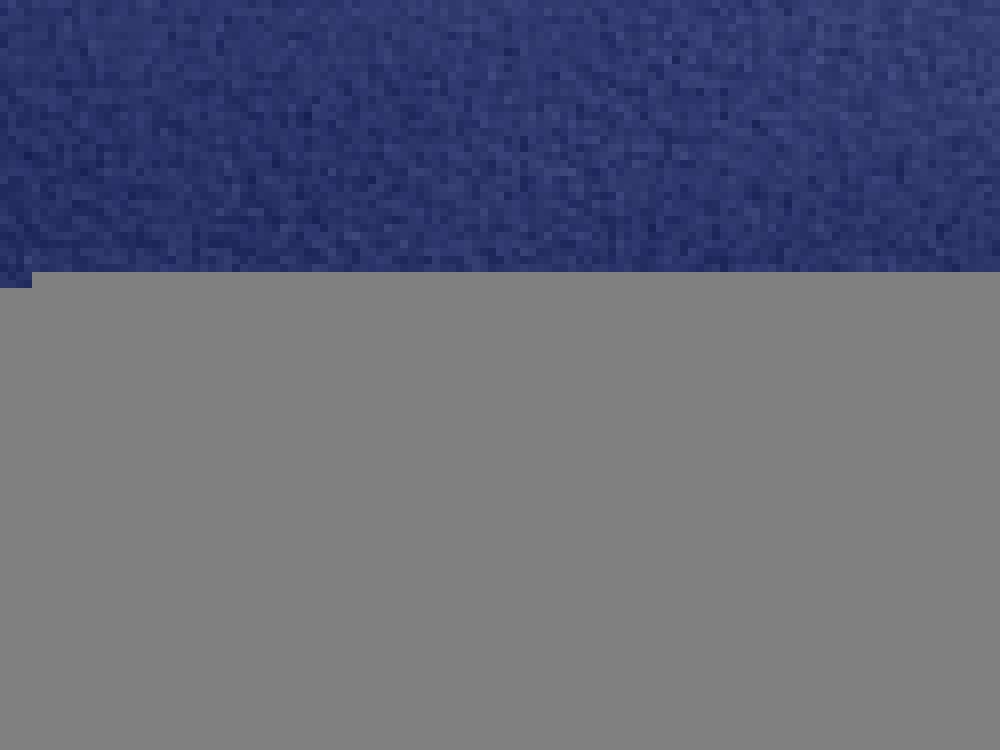 Жилет флисовый Ibiza мужской