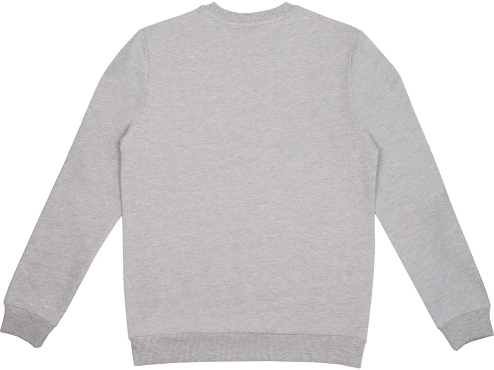 Свитшот Motion с начесом, унисекс