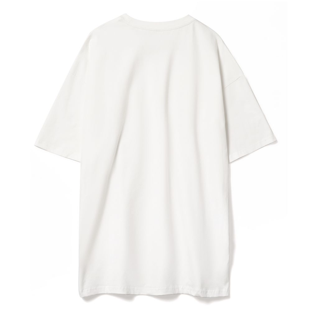 Футболка оверсайз унисекс Big Haul