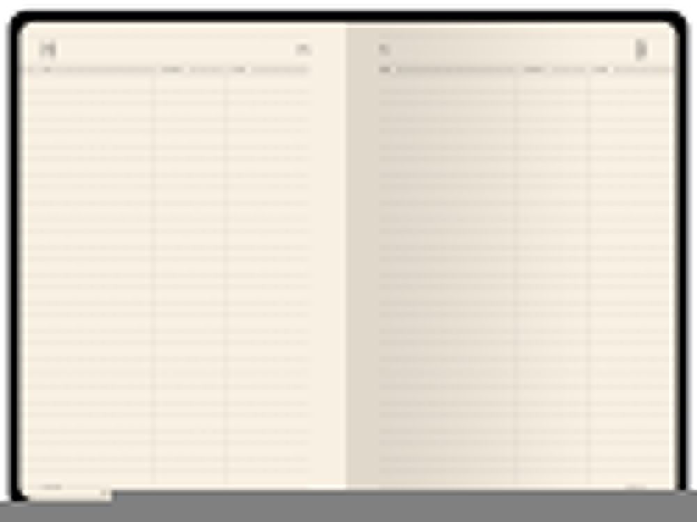 Ежедневник недатированный А5 Megapolis Flex