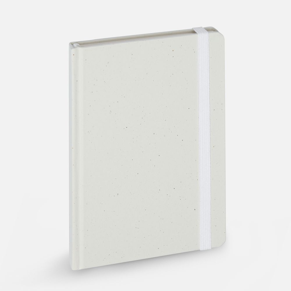 Блокнот Lactonica