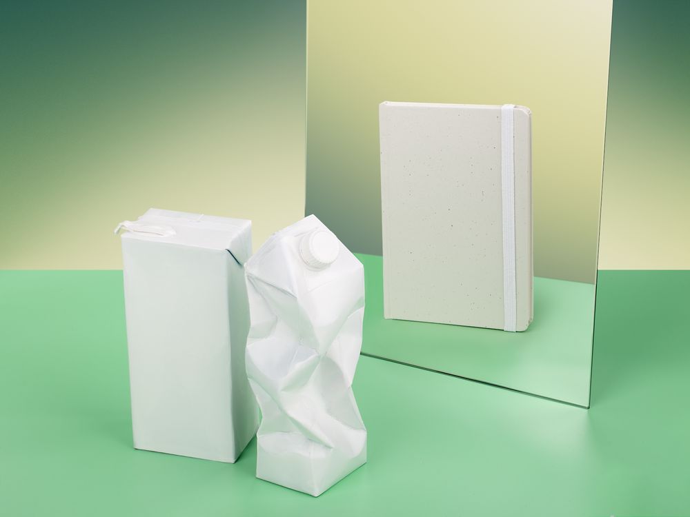 Блокнот Lactonica