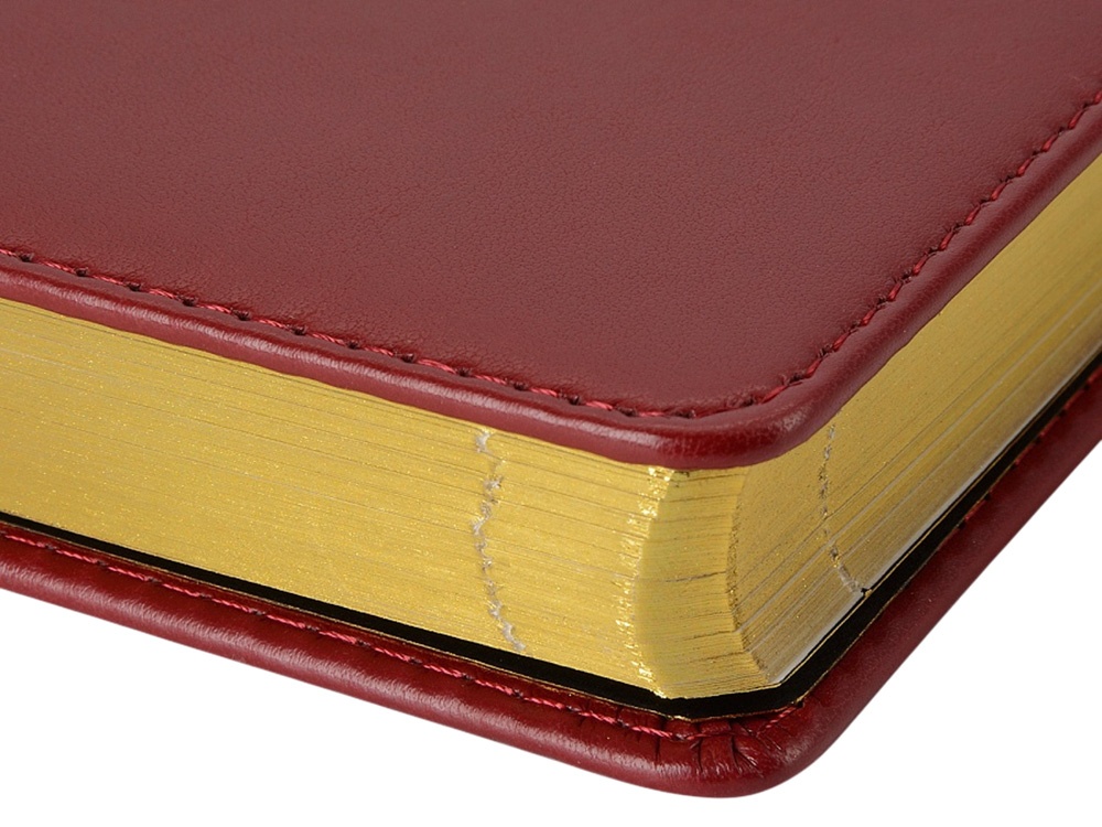 Ежедневник недатированный А5 Parliament