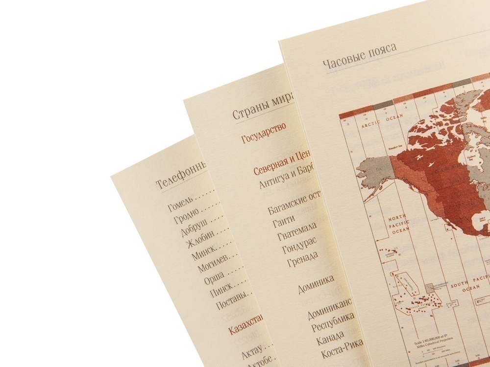 Еженедельник недатированный А5 Concept